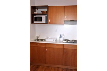 Семейный пансионат Липтовски Микулаш / Liptovský Mikuláš 4